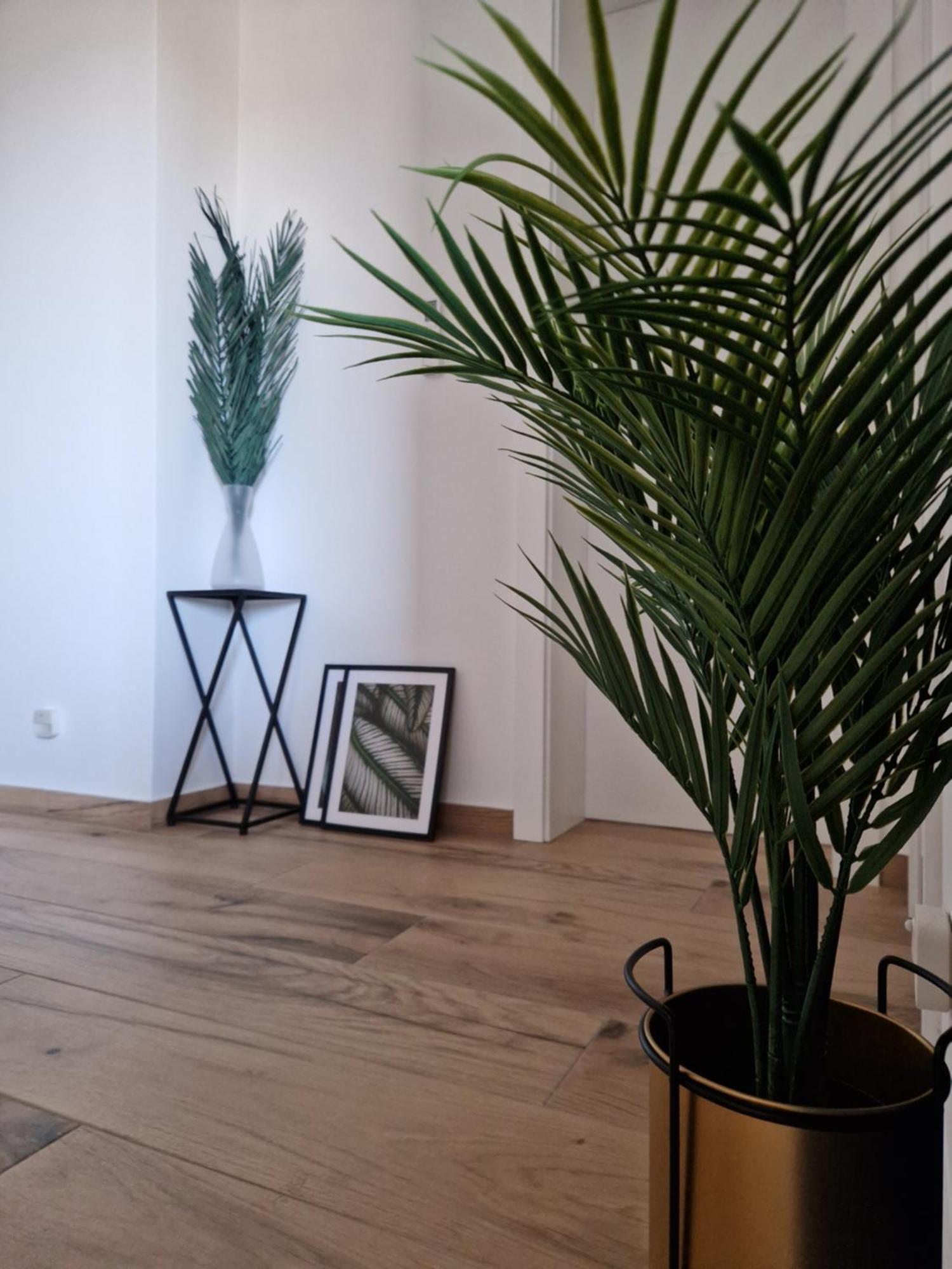 Apartment Luka Privlaka  Eksteriør bilde